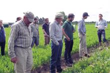 Cross-sector funding secured for crop studies