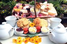 Is there a "right" amount of catering for a garden centre?