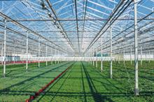 Glasshouse technology
