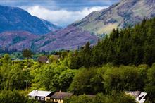 What opportunities for expansion does a new Forestry Bill present for Scottish forestry?