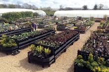 Garden Centre Outlet of the Year Mid Range - Winner: Green Pastures