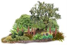 Sarah Eberle's RHS Chelsea Artisan garden to evoke a haven of peace and relaxation