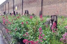 Horticulture Week Custodian Award - Best urban parks team