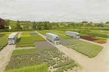 Why UK shrub production needs to rise to meet demand
