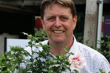 Notcutts launches Norfolk-bred double-flowered hibiscus