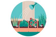 Career profile - Planteria manager