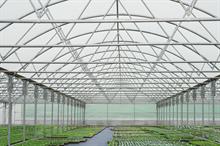 Polytunnels: Second generation