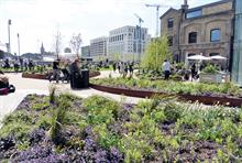 Grand Award Winner and Regeneration scheme - cost more than £500,000