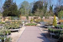 Behind Crocus bricks-and-mortar addition