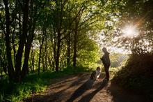 How can the health benefits of woodlands be better sold to key client groups?