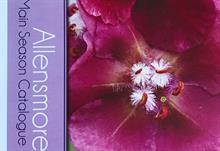 Allensmore Nurseries launches 40 new plants in catalogue