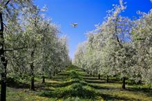 Gove backs agri-innovation for post-Brexit UK farming