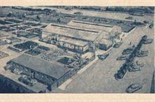 Garden centres are born