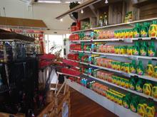 Retail sales up in year to June