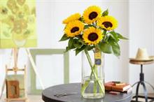 Takii Van Gogh sunflower released