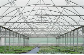 Market report - Polytunnels