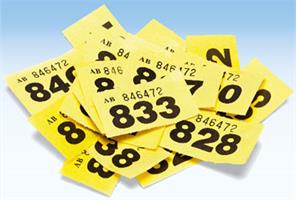 Charity lotteries
