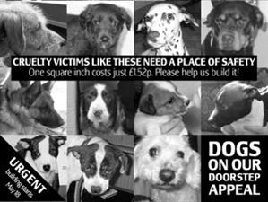 RSPCA Felledge Kennels campaign