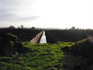 New road at Cradlebridge peat extraction site considered not to increase impacts