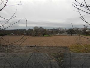 Soil contamination survey thwarts lawfulness claim