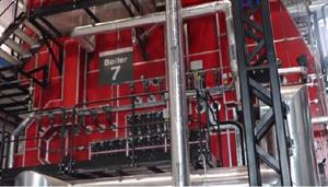Healthcare company opens €8m biomass plant