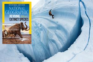 Champions of Design: National Geographic
