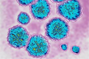 Rising hepatitis C deaths prompt call for GP awareness training