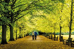 Can tranquillity measure be a tool to push greenery?