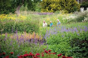 Outstanding winners of the Horticulture Week Custodian Awards 2017 revealed