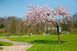 Record number of Green Flags awarded - winners revealed