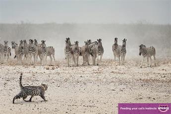 CANNES 2013: UK bags 38 nominations in Outdoor Lions