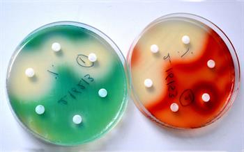 New combination antibiotic for serious infections