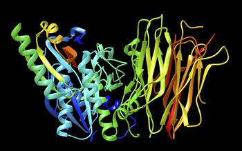 New injectable antibody alirocumab enhances lipid-lowering effect of statins
