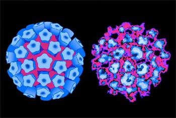 Gardasil two-dose schedule approved