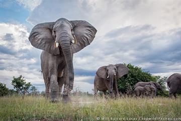 The GP who wrote a wildlife book