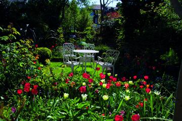 Dr Anne Pauleau interview: The GP gardener