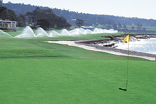 Automatic irrigation: an adjustable computer-controlled system anticipates dry periods and sprays accordingly. Image: Rain Bird