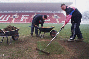 Around 40,000 people are employed in the grounds care industry - image: HW