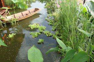 Thai tourism garden wins Hampton Court best in show Horticulture ...