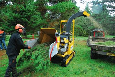 Tree owners realise that employing someone who is properly trained reduces potential risks - image: Schiesling