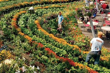 Horticulture makes a central contribution to Britain’s unique cultural identity - image: FlickR/Katherine Herriman