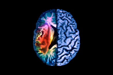 Stroke: 'lack of statistical power' might have masked small effects (Photograph: SPL)