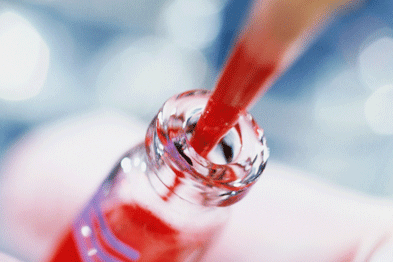Blood sample: age prediction (Photograph: SPL)