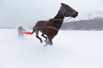 Canon "skijoring" by J Walter Thompson London