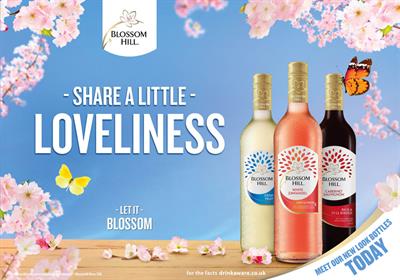 Blossom Hill back on TV in biggest UK wine campaign for three years