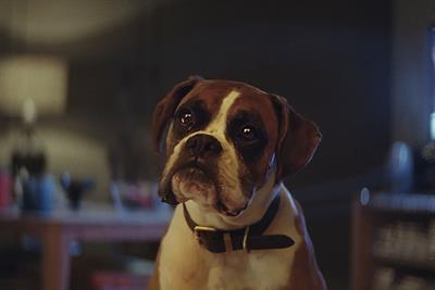 John Lewis Christmas spot 'Buster the Boxer' is most-shared ad of 2016