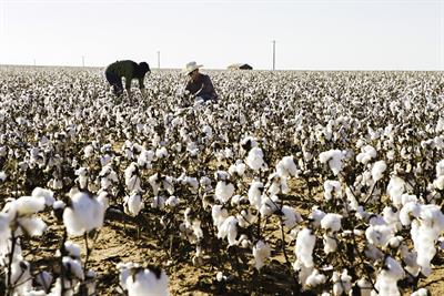 Brands spread good news of sustainable and ethical business