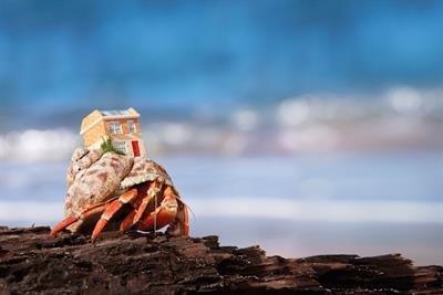 When crabs write the script: How Zoopla made its new ad campaign