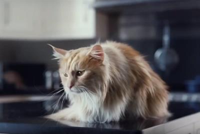 O2 to drop cat from evolved 'Be more dog' concept