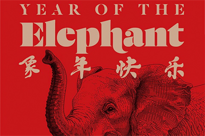 'Join the Herd' - how Grey London and Kantar TNS UK changed the ivory trade